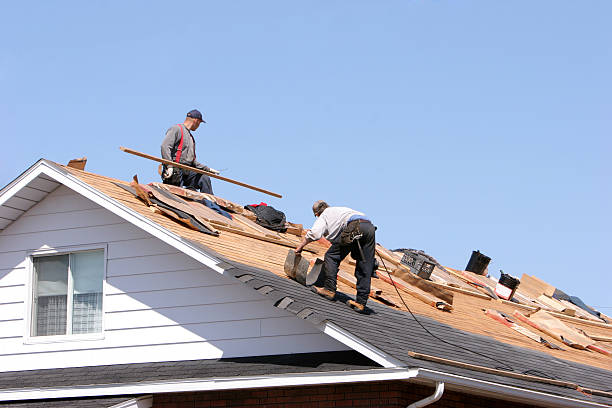 Siding in South Williamsport, PA